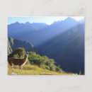 Search for andes postcards Nature