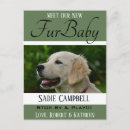 Search for new puppy announcement postcards Dogs