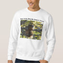 Search for wild squirrel Inspirational