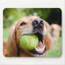 Search for golden retriever mousepads Closeup