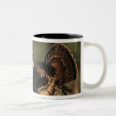 Search for wild turkeys mugs Animal
