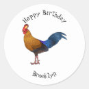 Search for rooster illustration stickers Bird