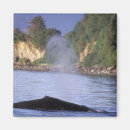 Search for alaska magnets Inside passage