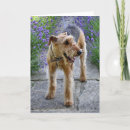 Search for airedale cards Terrier