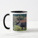 Search for caribou mugs Tundra