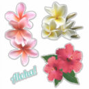 Search for hawaiian craft supplies Aloha