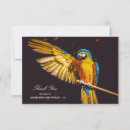 Search for macaws cards Bird