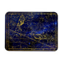 Search for pisces magnets Fish