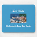 Search for aquatic animal electronics Ocean