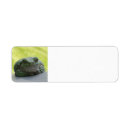 Search for tree frog return address labels Frogs
