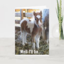 Search for foal birthday cards Donkey
