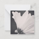 Search for flower blank note cards White