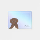 Search for aussie aussie aussie Puppy
