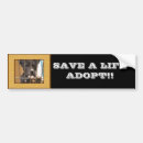 Search for adopt a bumper stickers Shelter