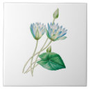 Search for lotus tiles Antique