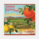 Search for orange blossom magnets Fruit