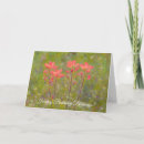 Search for indian birthday cards Flowers