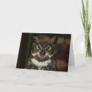Search for owl fathers day cards Nature