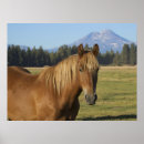 Search for cascade range posters Danita delimont