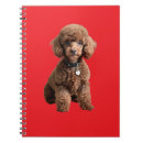 Search for cute fluffy notebooks Red