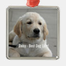 Search for golden retriever christmas decor Cute