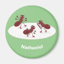 Search for ants magnets Insects