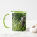 Search for cute ferret mugs Ferrets