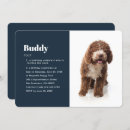 Search for funny dog birthday invitations Modern