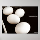 Search for egg posters Cooking