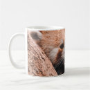 Search for family bear mugs Cute