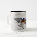 Search for eastern mugs Songbird