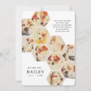 Search for pet condolences cards Funeral