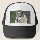 Search for grey wolf hats Wild