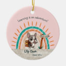 Search for kindergarten teacher christmas tree decorations Rainbow