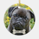 Search for pug decor Typography