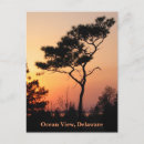 Search for ocean view postcards Sea