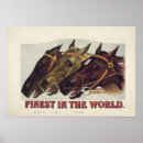 Search for vintage equestrian horse posters Colt