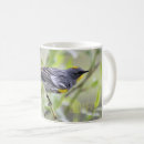 Search for warblers mugs Nature