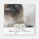 Search for kitty love magnets Cat