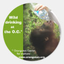 Search for drink water stickers Drinking