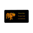 Search for rhino return address labels Funny