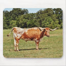Search for longhorns electronics Cow