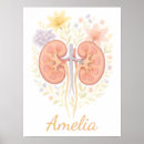 Search for nephrology Kidney doctor