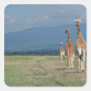 Search for reticule Animal