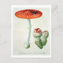 Search for j postcards Botanical