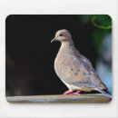Search for mourning mousepads Nature