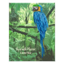 Search for costa rica rainforest posters Colourful