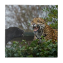 Search for animal jaguar tiles Black panther