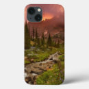 Search for pine trees cases Sunrise