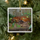 Search for antelope christmas tree decorations Africa